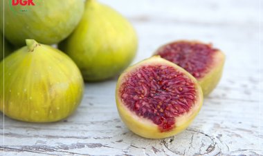 سوودە گرنگەکانی هەنجیر