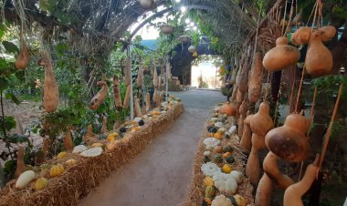 Kêlgeha Kurdistan li Helebçe