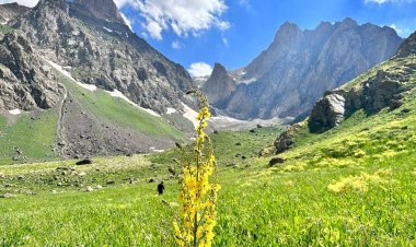 Çend dîmen ji xwazaya Şirnexê