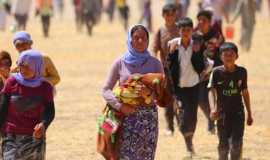 Ji bo komkujiya Şengalê 80 hezar îmze hatine komkirin