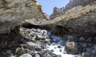 Zozanên Pirjê li navçeya Çoman