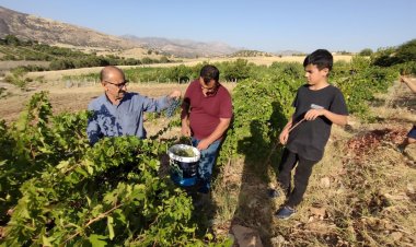 Werzê çinîna Trî