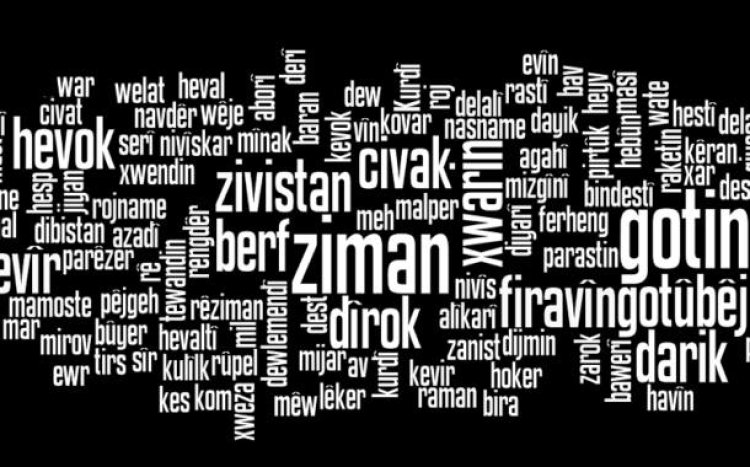 Zanîngeheke dêrîn ya Amerîkayê xoleke fêrbûna zimanê Kurdî vedike