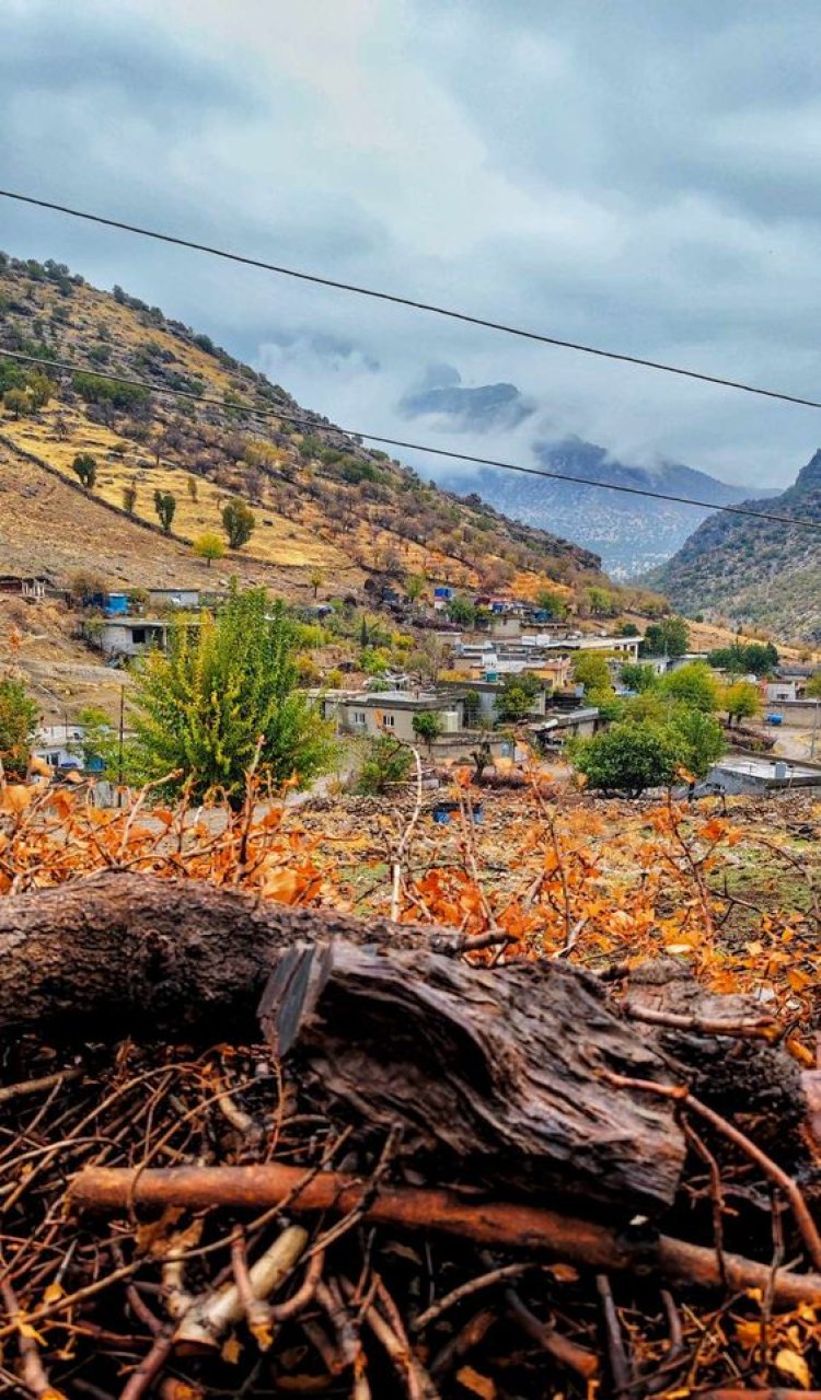 Payîza gundê Heledin li Geliyê Cafayetî