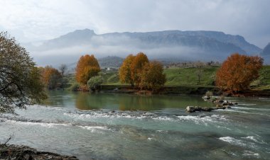 Seyrangeha Zoregivan ya devera Mêrgesor