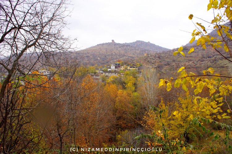 Çend dîmenên navçeya Pîran a Amedê