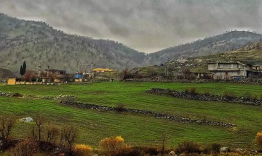 Gundê Şîwerez li devera Pişder