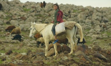 Herêma Dêrika Çîyayê Mazî ya Mêrdînê