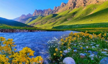 Çend Dîmen Ji Çiyayê Cîlo ya Colemêrgê