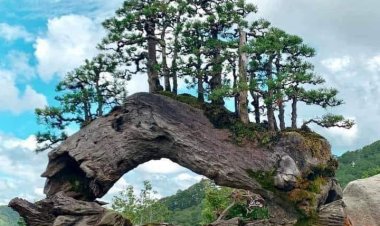 Li wan peseran diçêrin keriyê Pezkoviyan