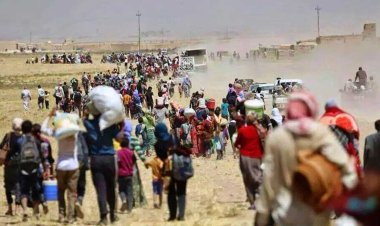 Birîna kûr: Şengal…