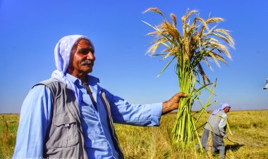 Dêrîka Çiyayê Mazî… Dirûna Birincê