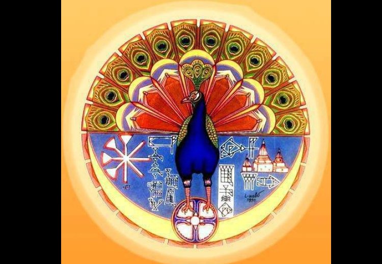 Gelo Şerfedîn Kîye?