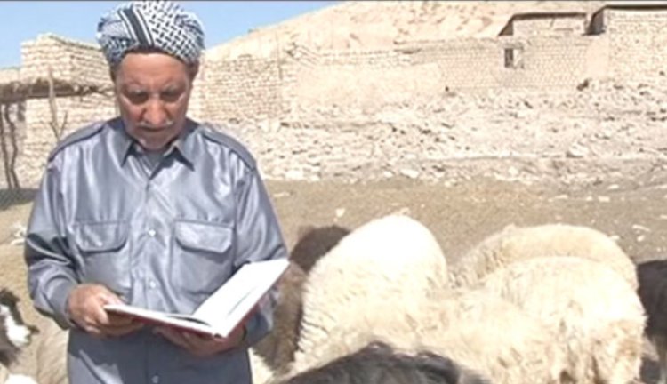 Şivanekî kurd 2 hezar pirtûkan dixwîne