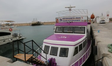 Pirtûkxaneya Jinan a gerok li ser Gola Wanê