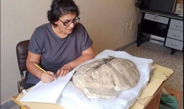 Efrîn: Kêsefisek 50 milyon sal hat dîtin