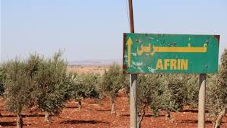 Li Efrînê jinên ereb zeytûna talan dikin