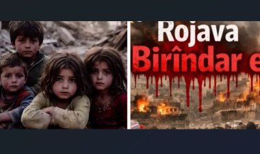 HOV VEKIŞIN, LI ROJAVA