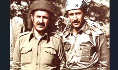 Neco vedigere Başûrê Kurdistanê