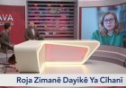 Di Rojeva Nu de, Roja Zimanê Dayikê Ya Cîhanî