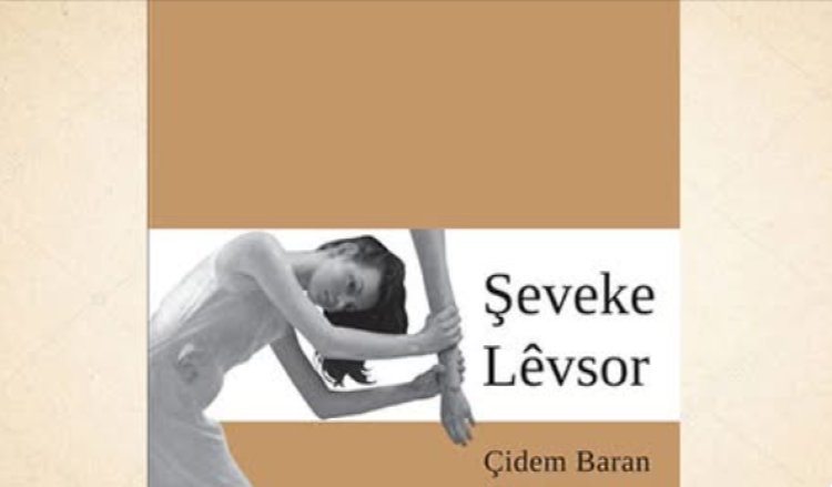 Şeveke Lêvsor…